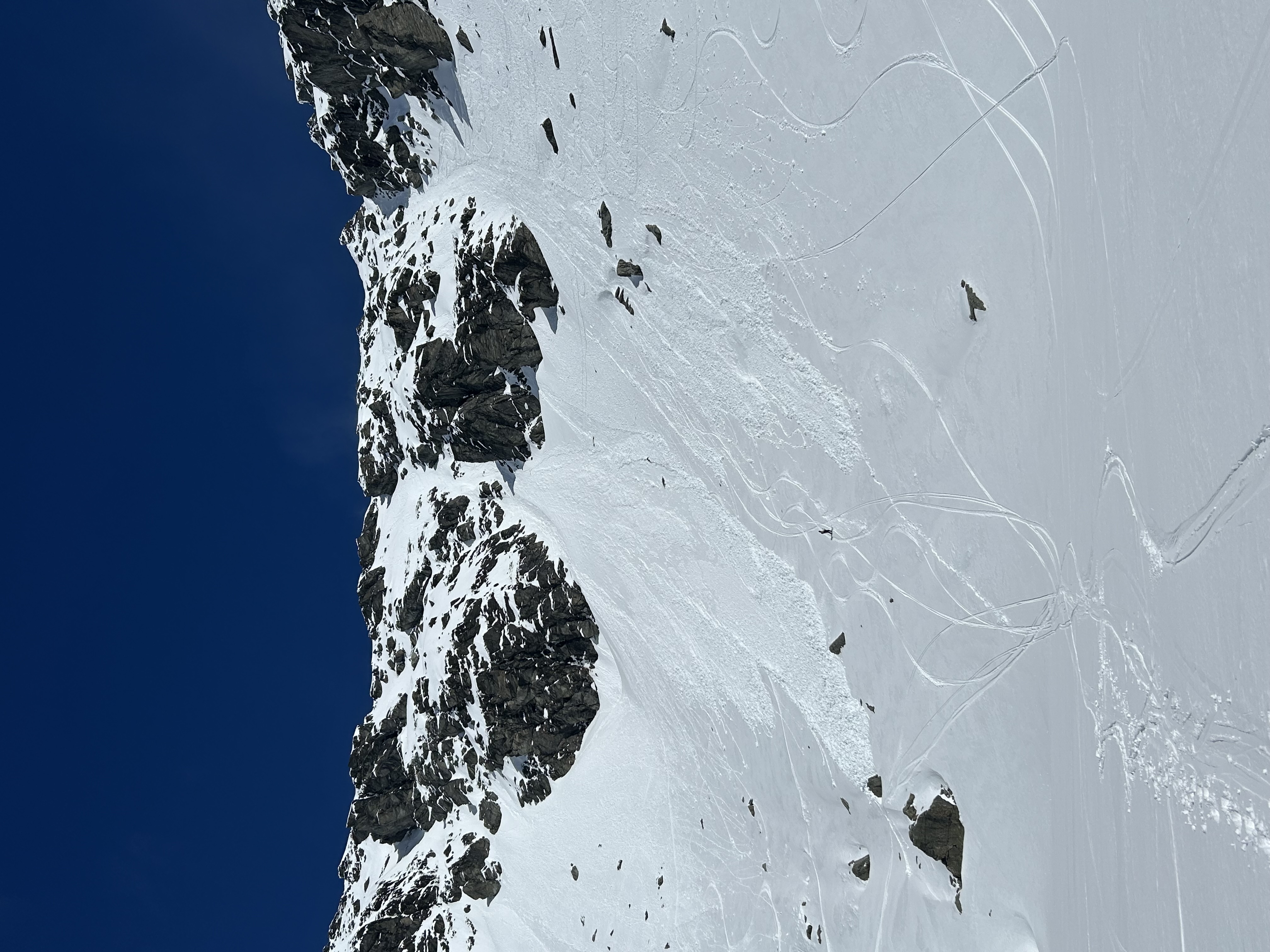 Observation photo 1
