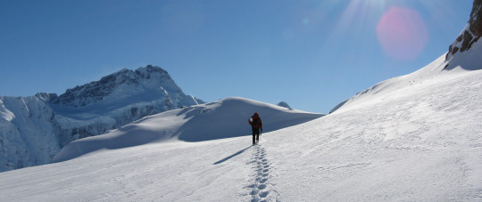 What's the NZ Avalanche Advisory?