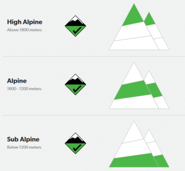 Screenshot 2021 07 14 122940 1