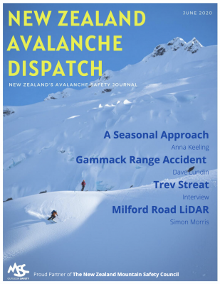 Avalanche Dispatch Issue 1