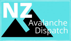 NZAD REC LOGO