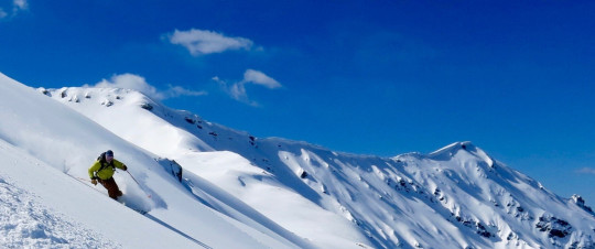 NZ Guidelines & Recording Standards for Weather, Snowpack & Avalanche