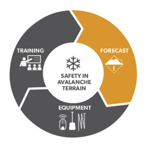 Avalanche Safety